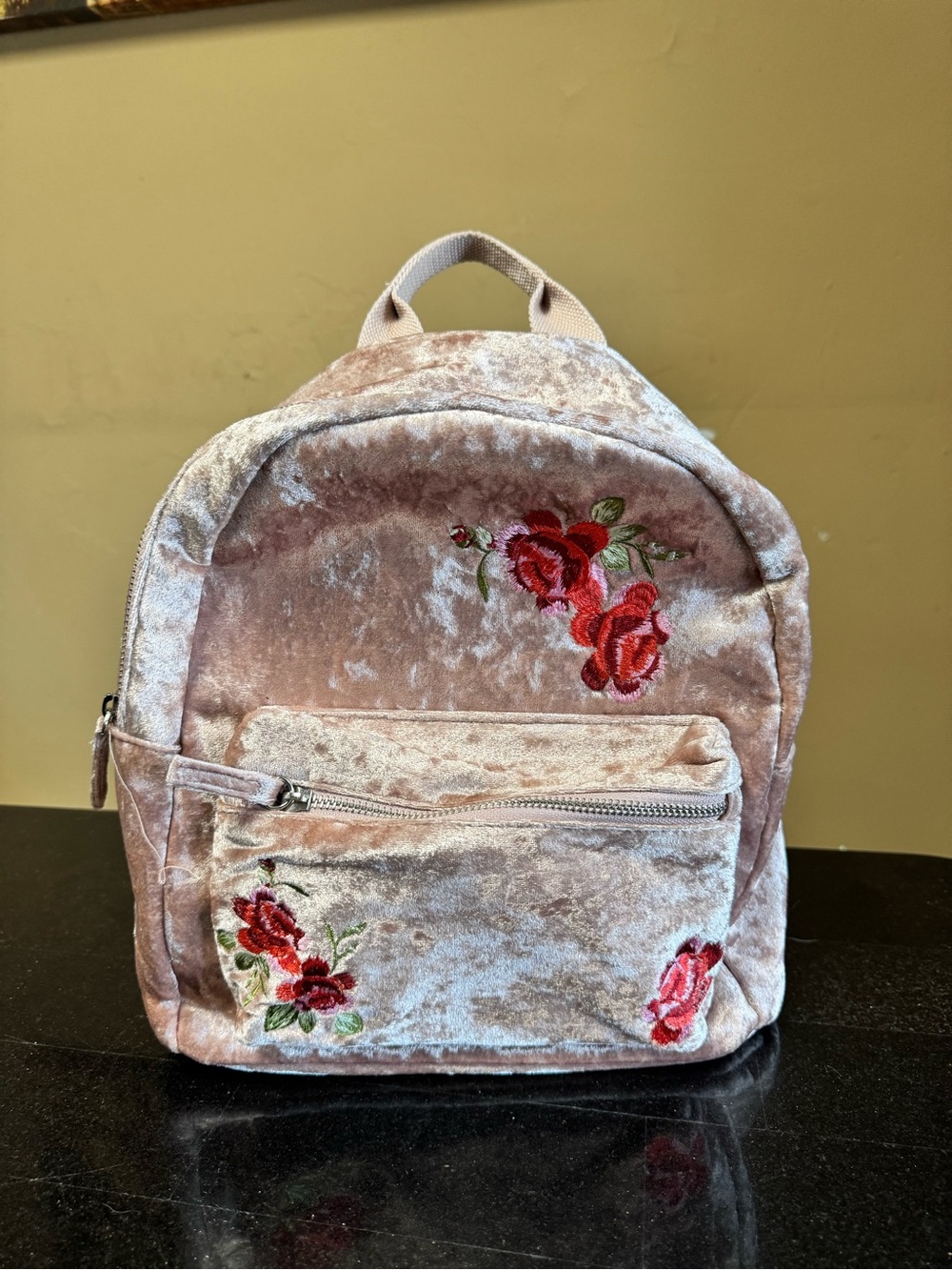 Velvet Pink Floral Embroidered Mini Backpack